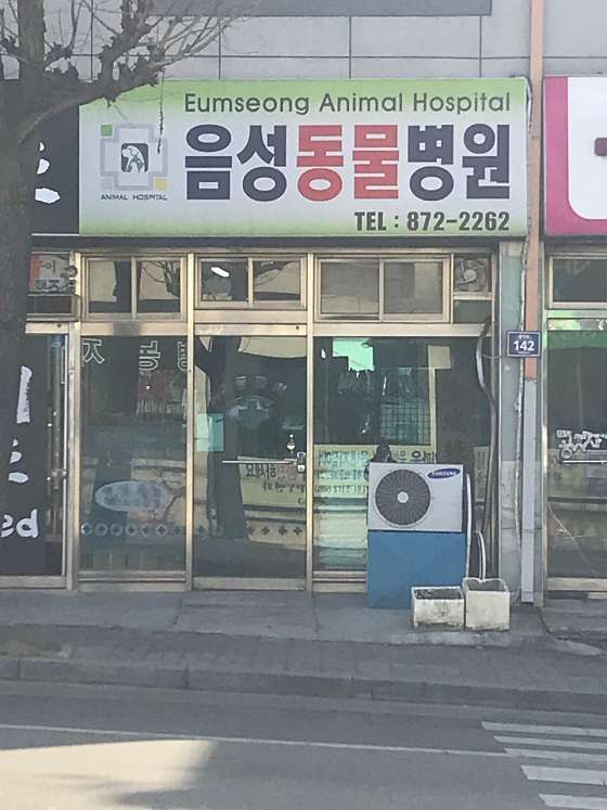 음성동물병원